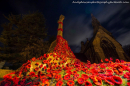 Memorial & Poppies at night by Andy Dawson